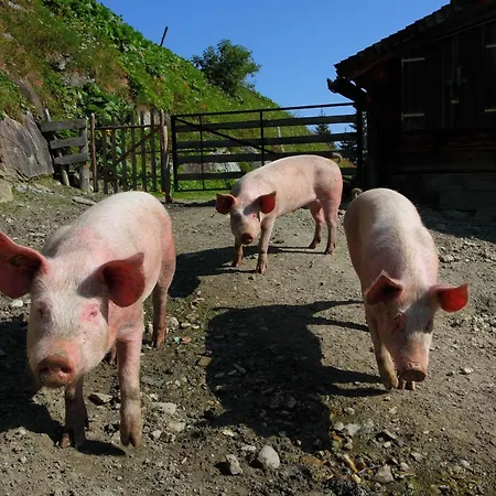 Stockinger B4 Appartamento *