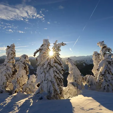 Διαμέρισμα Stockinger B4 Grossarl