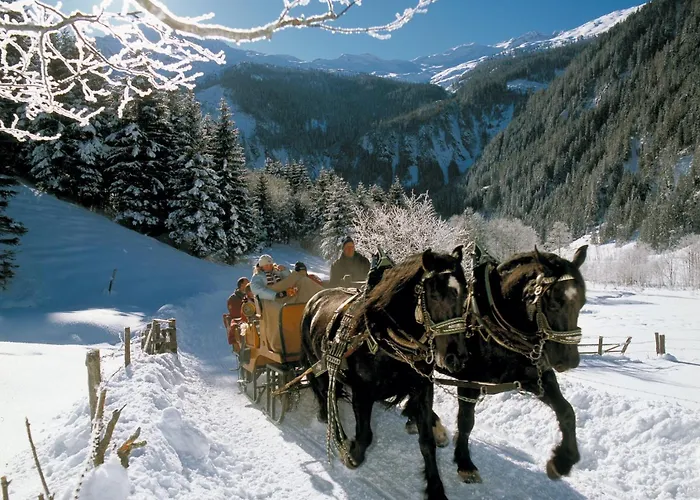 Apartment Stockinger B4 Grossarl