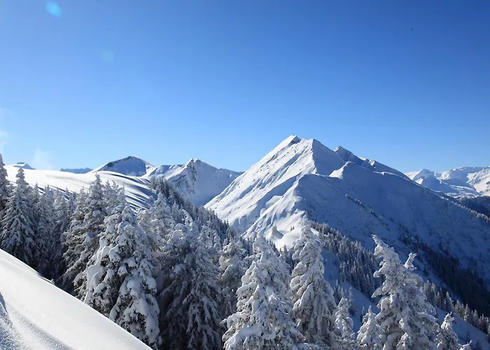 Stockinger B4 Grossarl